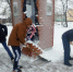 Нажмите для увеличения изображения - Усманский муниципальный район