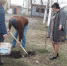 Нажмите для увеличения изображения - Усманский муниципальный район