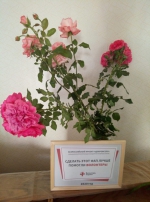 «#ДоброВСело»
