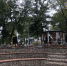 Открытие городского парка после реконструкции - Усманский муниципальный район