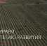 Портал Стратегия социально-экономического развития Липецкой области - Усманский муниципальный район