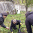 Помощь одинокой пенсионерке в уборке приусадебного участка - Усманский филиал ГАПОУ ЛМК