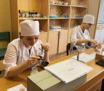 Профессионалы 2025