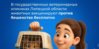 О необходимости проведения профилактической вакцинации против бешенства домашних животных - Усманский муниципальный район