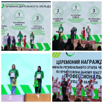 Всероссийского чемпионата профессионального мастерства «Профессионалы»
